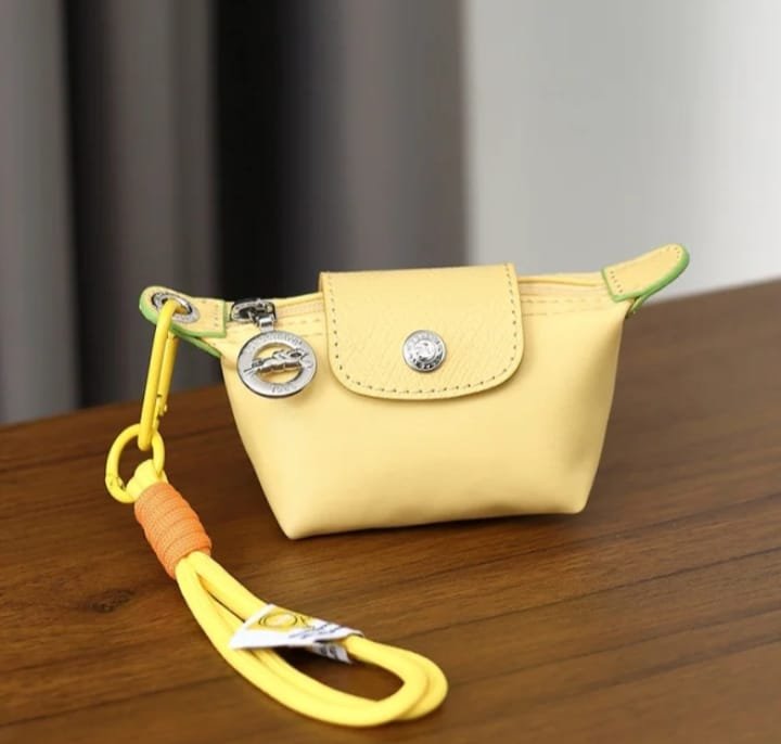 Longchamp Bag for airpods and coins (3) Longchamp Mini Bag for AirPods & Coins